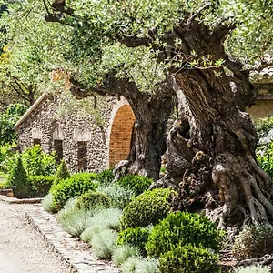 Domaine Les Mésanges Pensión